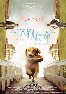 1992灯草花尚灯免费版