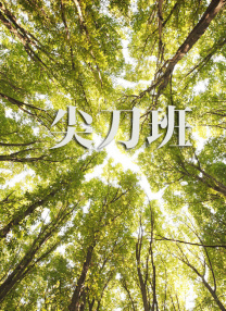 深夜的深化