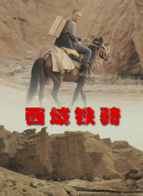 真假试探
